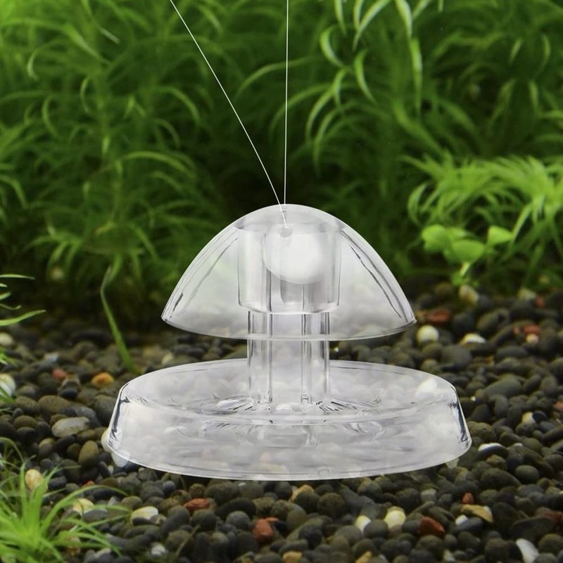 DONGKER Transparent Snail Catcher, Aquarium Snail Trap Snail Box for