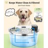 Dog Water Fountain for Large Dogs, 2025 Upgraded Fully Stainless
