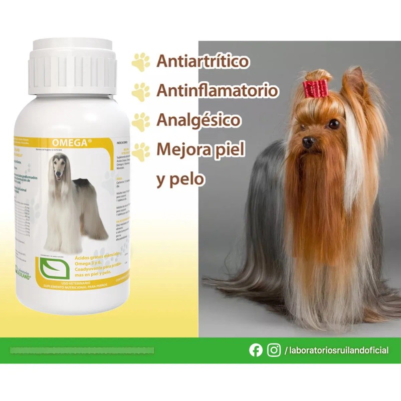 Suplemento Omega 3 Y 6 Para Perros Ruiland® - 60