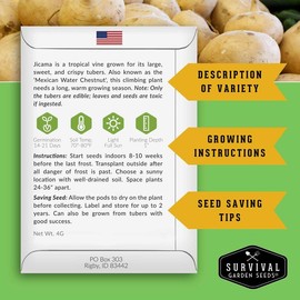 Jicama Seeds - Drought Resistant Mexican Turnip - Size: 3 Packets