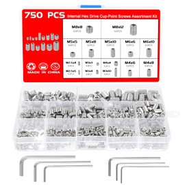 Faankiton Pack of 750 Grub Screws Set, M2.5 M3 M4 M5 M6 M8 Grub Screws Assortment Set, Hexagon Socket Grub Screws with Allen Keys, Worm Screw, Hex Head Screws (Silver)