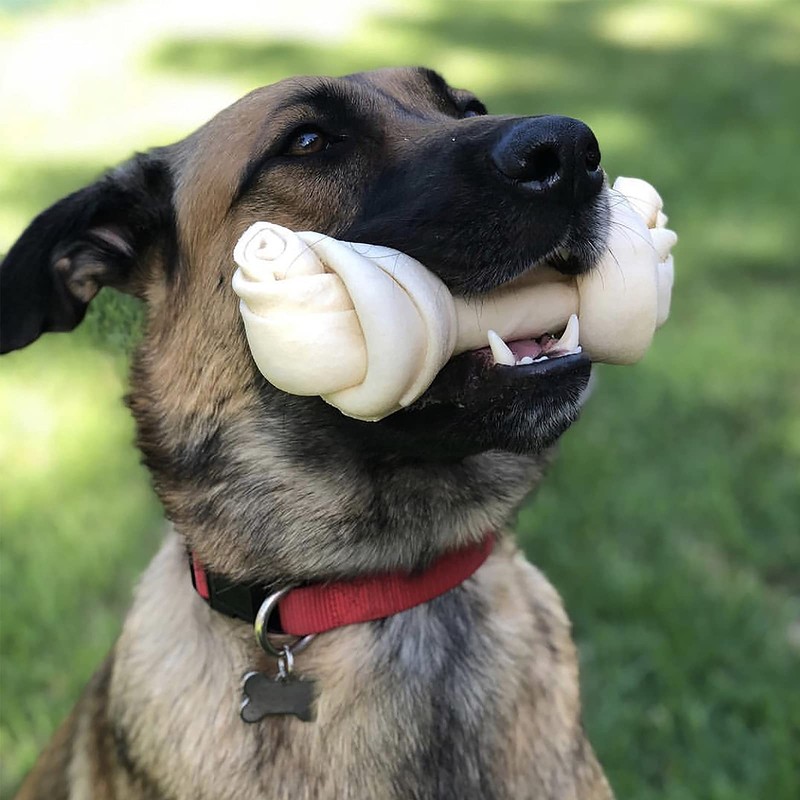 Pet Factory Pet Factory American Beefhide 12" Knotted Bone Dog