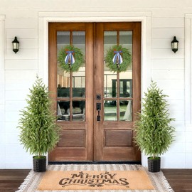 Christmas Decorations - Outdoor Christmas Tree - 2 Pack 3FT Artificial Norfolk Pine Tree - Xmas Decor for Home Indoor Outdoor Entryway Party Living Room Office Porch