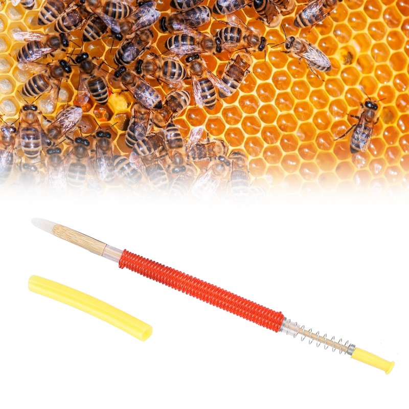 25Pcs Beekeeping Larvae Grafting Needle Bee Queen Rearing Tool Apiculture