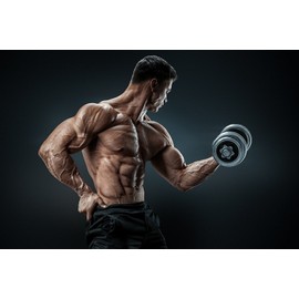 alphavitalis Protein Shaker 600 ml | Sports Fitness Bodybuilding | BPA Free | Leak-Proof | With Screw Cap and Strainer for Creamy Shakes | Black Red