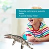 Simulation Stripe Kronosaurus Dinosaur Model Educational Dinosaur Model Toy for