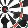 Pack of 10 Dart Shafts and Flights Made of One