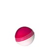 Gunn & Moore GM Cricket Training Ball, Skills Ball, Red/White,