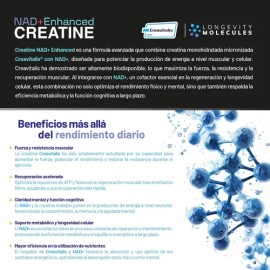 Eternal Nutrition Creatina Monohidratada  Micronizada con NAD (550 g)  Precursores NAD  110 Porciones  Fuerza Muscular y Longevidad Celular...        