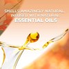 Air Wick Plug in Scented Oil Refill, 5 Ct, Fresh