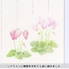 5812870 Postcard Winter Pattern Winter Collection Blooms in Winter Sun