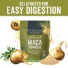 Viva Labs Organic Maca Powder Gelatinized for Enhanced Bioavailability, Non-GMO,