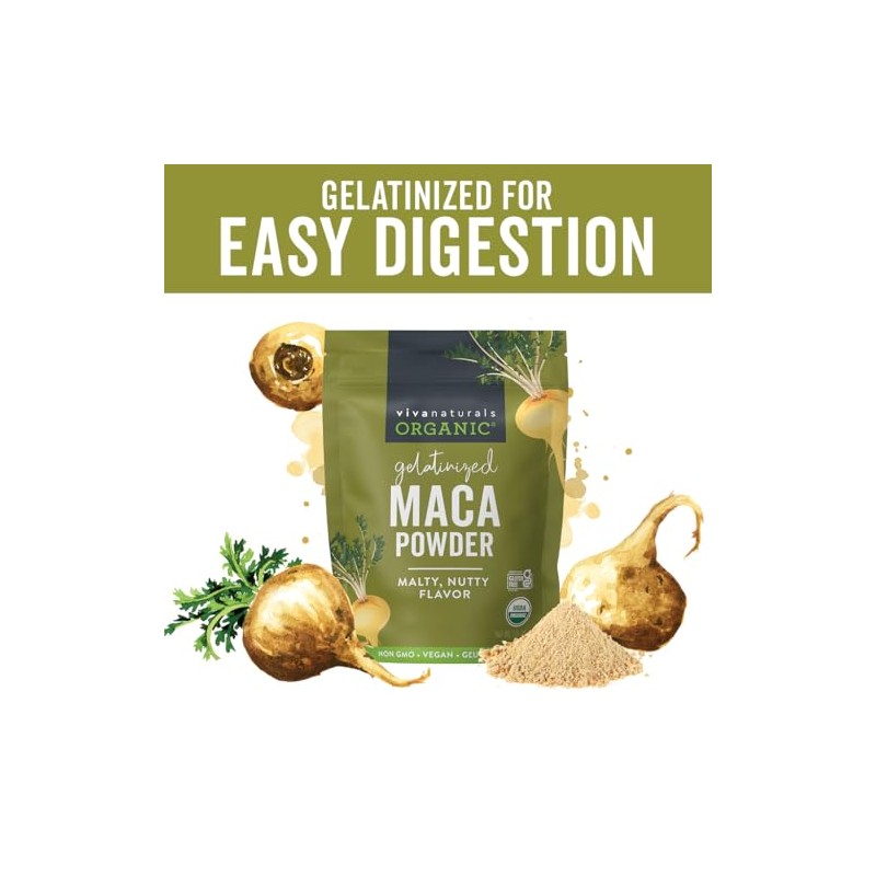 Viva Labs Organic Maca Powder Gelatinized for Enhanced Bioavailability, Non-GMO,