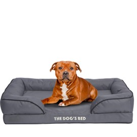 The Dog’s Bed, Orthopedic Egg Crate Foam Waterproof Dog Bed with Standard Support, Large Grey with Black Trim, Waterproof, Supportive Dog Bed with Replaceable Covers, Veterinary Approved