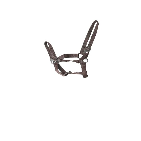 Extra SAtrong Equine NEW Horse Cob Pony headcollars halter Nylon