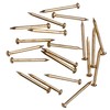 OMOTOOL Hardware Nail Assortment Kit (300pcs), Brass Plated Nails for