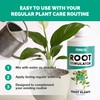 Root Stimulator for Houseplants – Liquid Root Supplement with Kelp