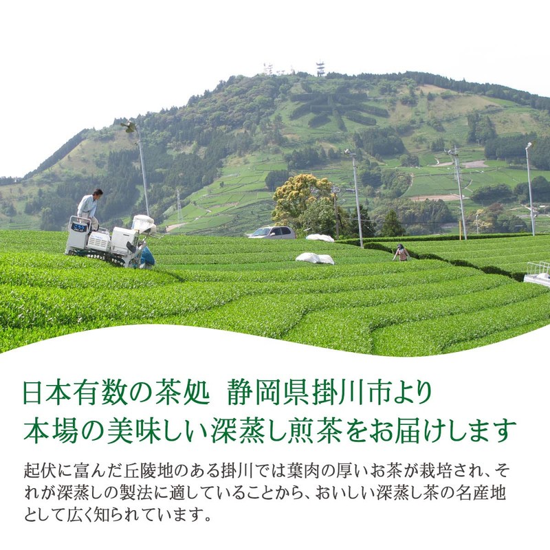 Shizuoka Prefecture Kakegawa Ichiban Tea Use [Matcha Included] Deep Steamed