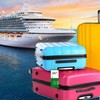 4 Pack Cruise Luggage Tag Holder Clear E-Tag Zip Seal