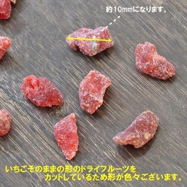 Dry Strawberry, 0.4 inch (10 mm) Cut, Generous Size, 24.7 oz (700 g), Easy to Use Cut Type, Mail-bin Shipping