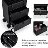 Leather Rolling Makeup Train Case with Wheels 2 Drawers Professional