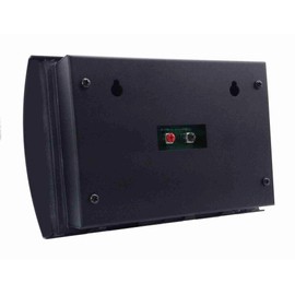 American Recorder 9" x 5.5""24 Hour Video Surveillance" LED Indicator Sign (Red)