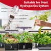 inbloom Fruit Seed Pod Kit for for AeroGarden, Ahopegarden Hydroponics