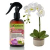 Gardenera Proffesional PHALAENOPSIS Spray Fertilizer Mist for Home Gardening |