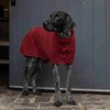 Ruff and Tumble Dog Drying Coat - Classic Collection |