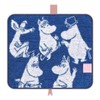 Dotto Pouch, Moomin Keep, Moomin and Friends BB