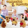 NuomiYue 9" Capybara Stuffed Animals for Girls and Boys, Cute