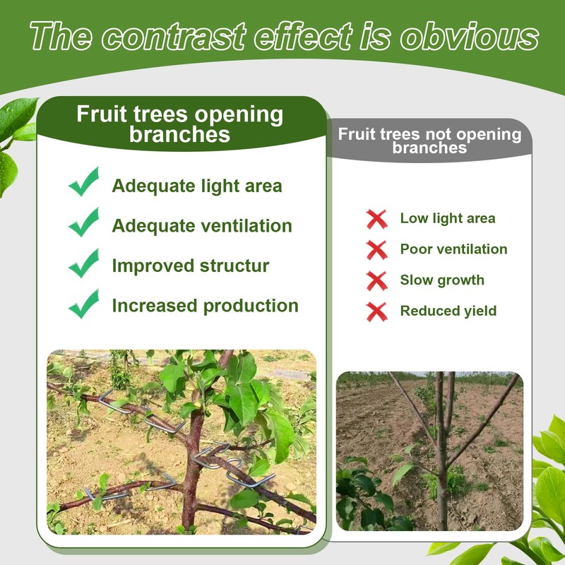 Suynauetev Branch clips for fruit trees