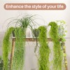 MAQIHAN Fake Spanish Moss - Artificial Moss for Plants Indoor