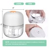 MAMICOOKER Electric Garlic Chopper, Mini Portable Veggie Chopper, 250ML Garlic