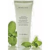 Mary Kay Mint Bliss Lotion for feet and legs New