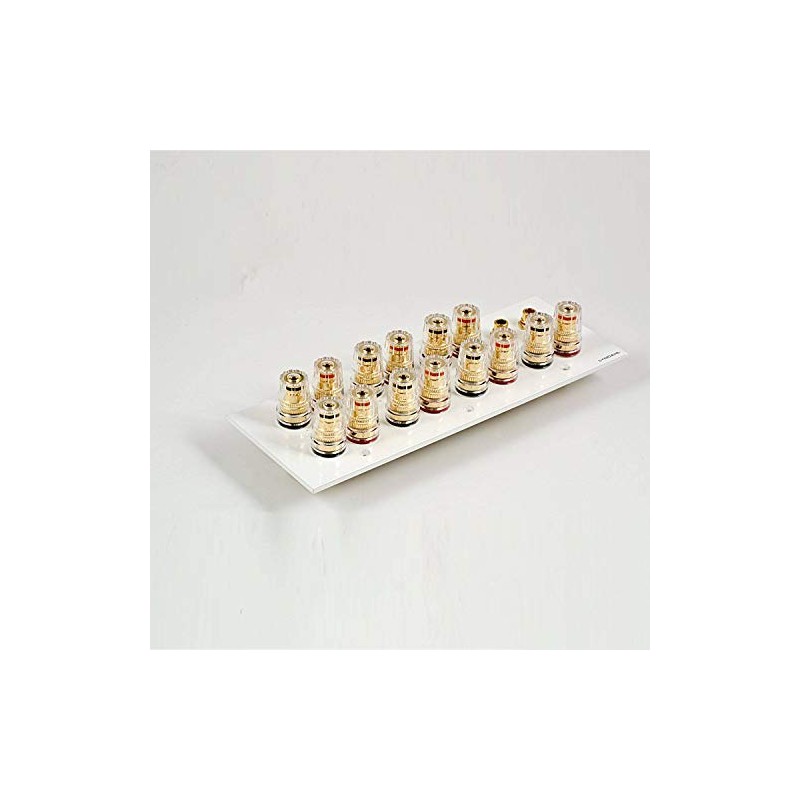 Lyndahl Speaker Panel Multimedia Panel for Speakers Suitable for Flush-Mounted