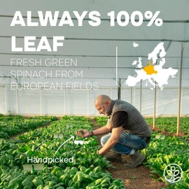 Organic Spinach Powder from Whole Leaf 5 Ounce Bag USDA Certified - Antioxidant Rich Smoothies Fresh Freeze Dried Spinach Leaves Extract for Immune Support - Espinaca Rich In Beneficial Thylakoids