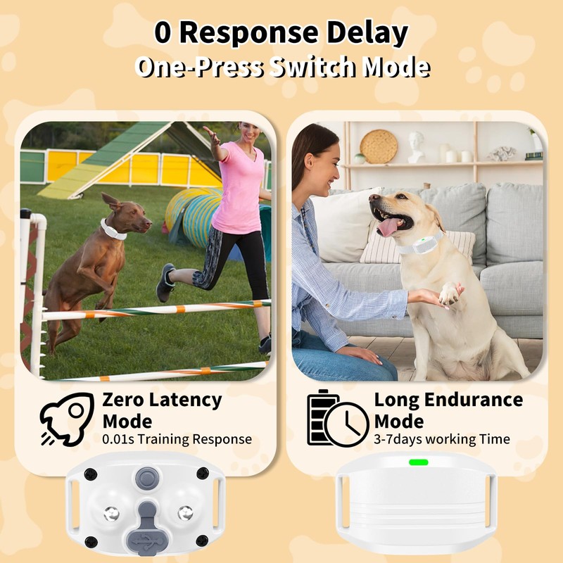 Shock Collar for Small Dogs, Electric Dog Training Collar with