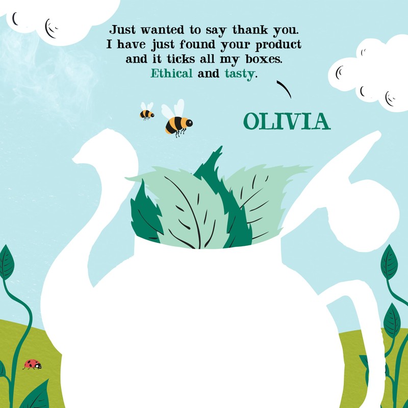 Clipper Organic Infusion Peppermint 20 Tea Bags (Pack of 6)