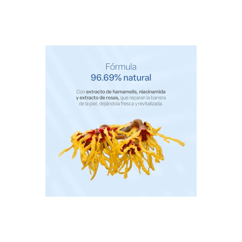 TEIA COSMETICOS Tónico de Niacinamida Equilibrante – Control grasa, tono