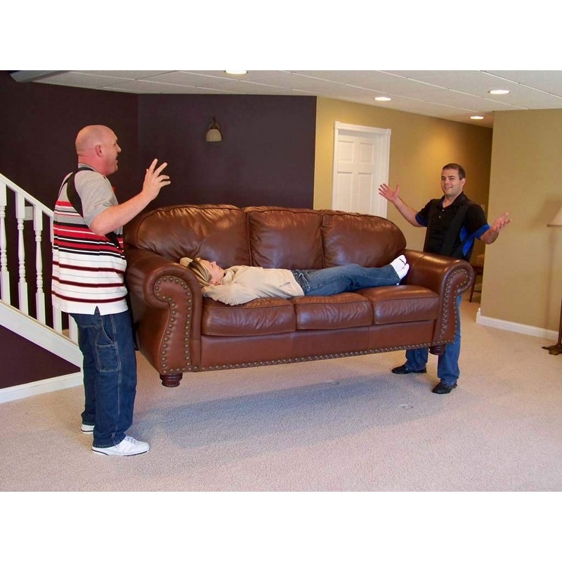 TeamStrap Moving Straps Make Lifting, Carrying and Moving Furniture, Appliances,