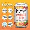 Humm Peach Sparkling Water - Zero Sugar, Zero Calorie Seltzer