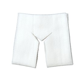 Care Aid Y-Cut Gauze 1 Piece (7.5 x 7.5 cm) x 10 Bags