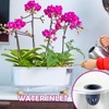5 Pack Rectangular Planter 11.8 x 4.6 in Self Watering