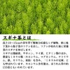 Takayama Tea Garden Subina Tea, 0.1 oz (2.5 g) x