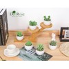 Der Rose Set of 6 Succulents Plants Artificial in Pots