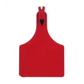 Danbark 50 Count TPU Blank -Piece Cattle Ear Tags (Orange)