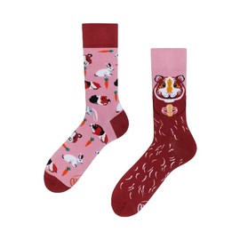 Many Mornings - Miss Guinea Pig/Guinea Pig - Mismatched Socks - Guinea Pig, Rabbit, pink