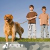 AUROTH Correa para perro grande, resistente y elástica, sin tirones,