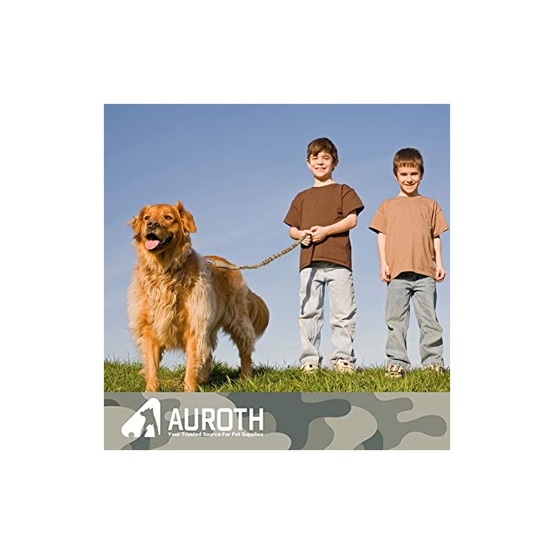 AUROTH Correa para perro grande, resistente y elástica, sin tirones,